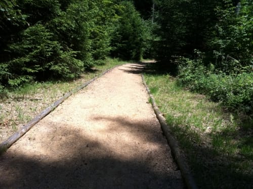Zum Tiergehege Waldshut