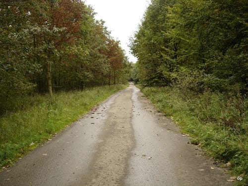 Auf dem Deister-Kamm von Springe nach Bantorf