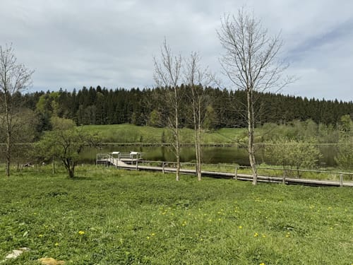 Neutrauchburg