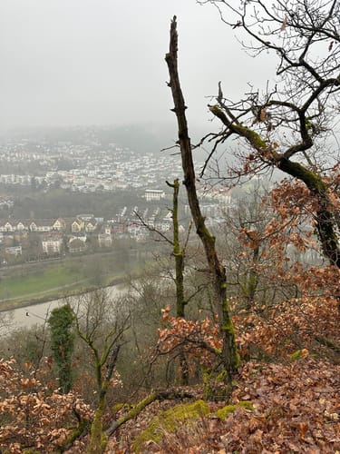 TourNatur Salinental