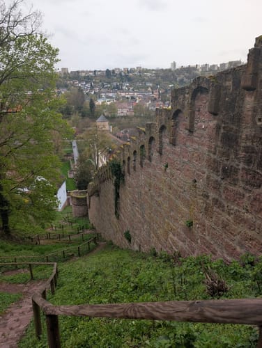 Burg Wertheim