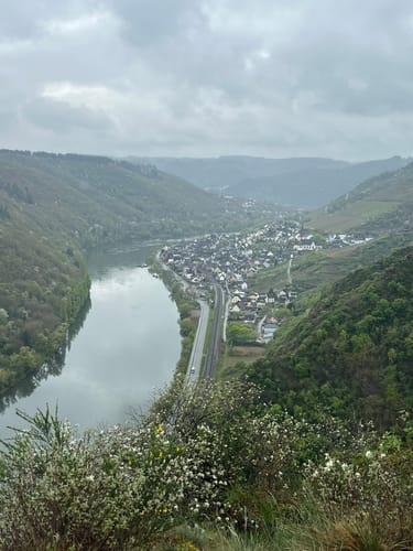 Moselsteig Etappe 19: Cochem - Treis-Karden