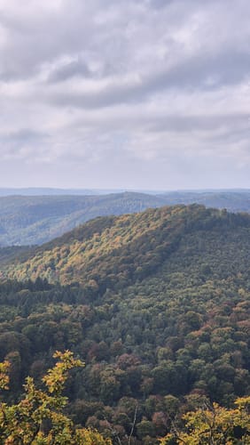 Wanderung zu den Burgruinen Neidenfels, Drachenfels und Lichtenstein