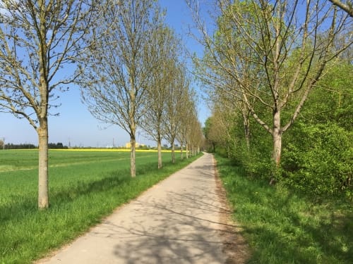 Von Höchst nach Bad Vilbel entlang der Nidda