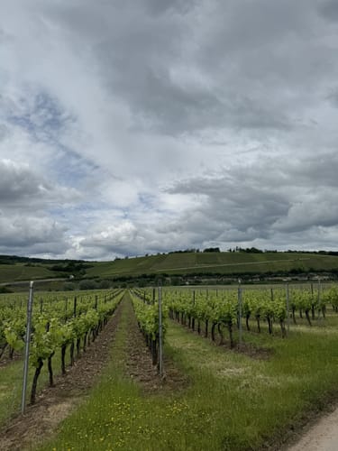 Mosel Radweg Etappe 1: Perl - Nittel