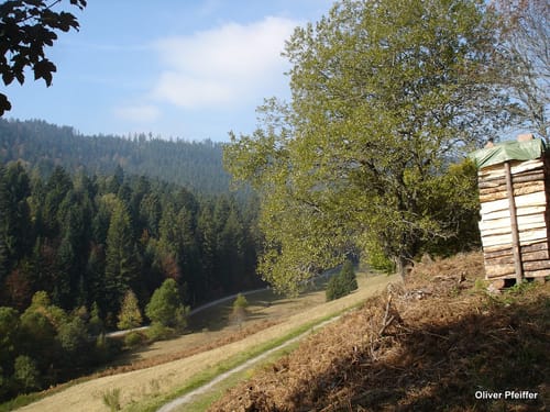 Von Enzklösterle nach Bad Wildbad 