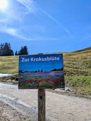 Über den Hündle