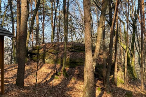 Wald-Erlebnisweg Schindhard
