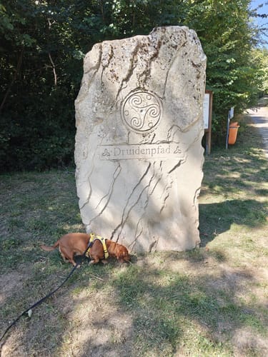 Druidenpfad bei Niedaltdorf