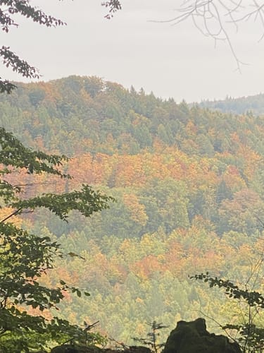 Mölschbach und Stüterhof Rundweg