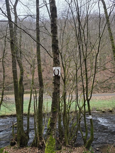 Almglück (Traumschleife)
