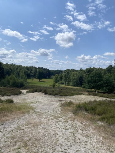 Wahner Heide ab Altenrath