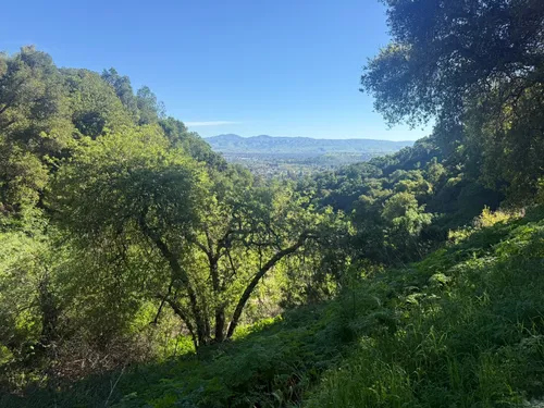 Best views trails in Heintz Open Space Preserve | AllTrails
