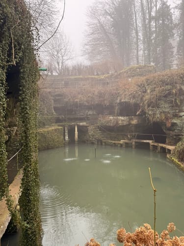 Vom Felsenweiher entlang dem Gutenbach