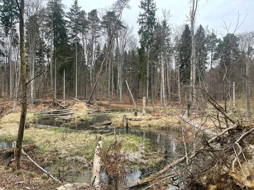 Rundweg zum Nonnenfließ