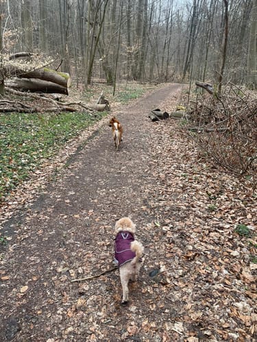 Rundweg zum Nonnenfließ