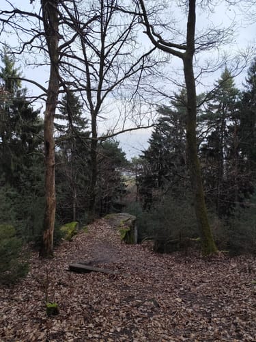 Gipfelrunde vom Hochberg zum Kalmit