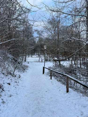 Netzbachweiher -Unterer Italienerweg - Netzbachhütte