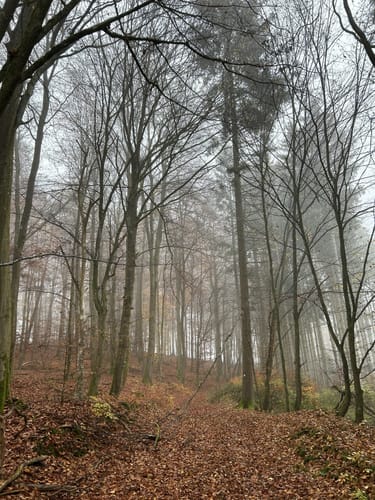 Stirnhelle (Extratour)