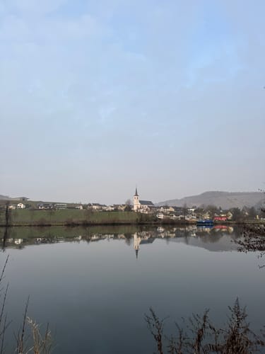 MTB Tour: Wintrich - Mülheim an der Mosel - Minheim