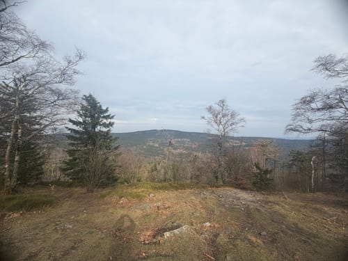 Falkenstein - Altkönig - Fuchstanz - Reichenbach