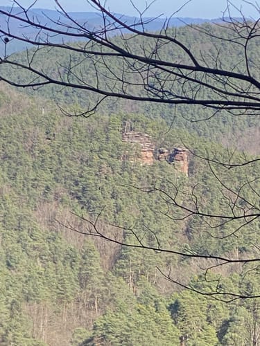Hauensteiner Nr. 11