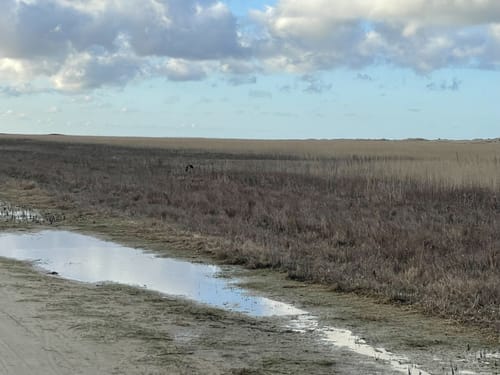 Panoramarute 404: Luft under Vingerne