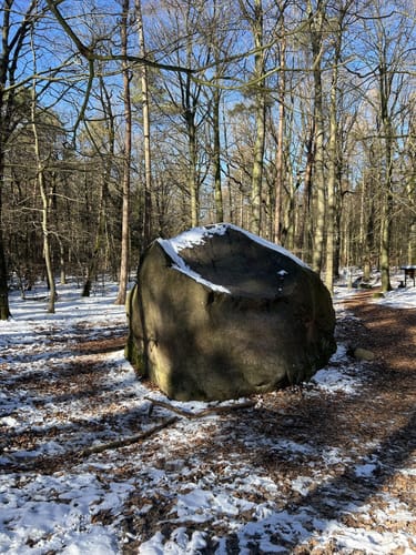Stöckse - Kráhe - Giebichenstein