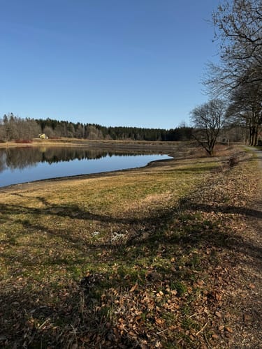 WasserWanderWeg: Clausthaler Teiche