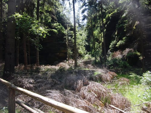 Falkenstein, Schrammsteine und Großer Winterberg