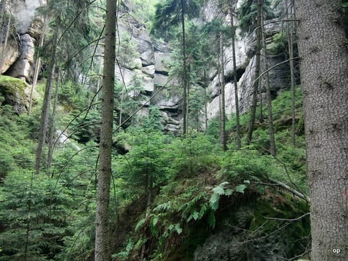 Lichtenhain and Grüner Punkt Rundweg