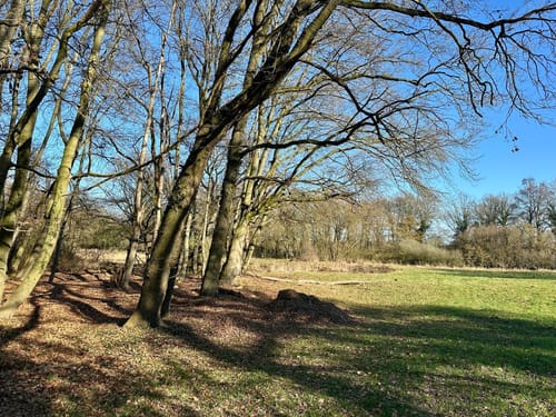 Rundweg A3 Krickenbecker Seen