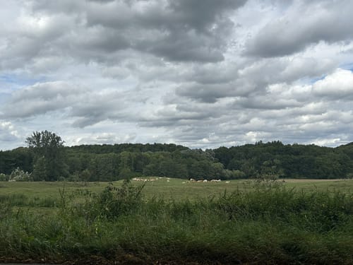 Dieksee Rundweg