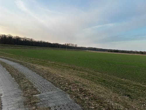 Durch die Oranienbaumer Heide