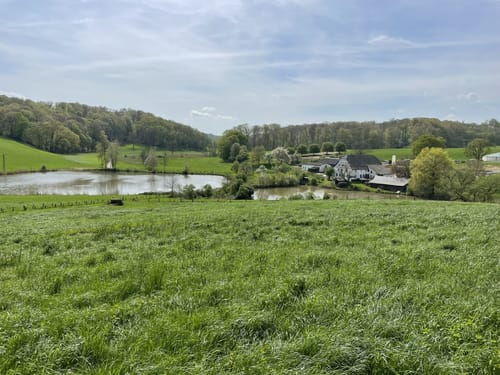 Gerresheim: Rotthäuser Bachtal