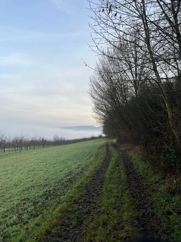 Panoramaweg Runde von Niedereggenen