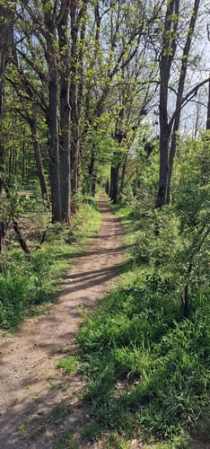 Gänseweiher und Fechenheimer Weiher ab Bischofsheim