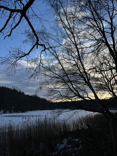Krumme Lanke