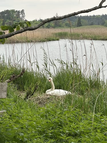 Rundweg um den Fohnsee