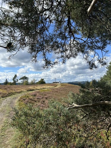Uplandsteig (Fernwanderweg)