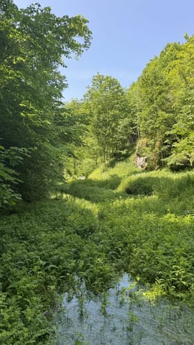 Hayingen - Wimsener Höhle - Schloss Ehrenfels