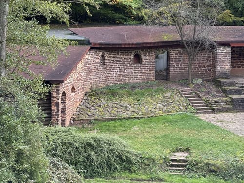 Waldzeit (Traumschleife)