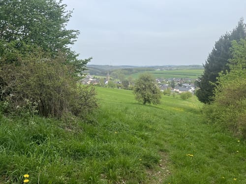 Eifelturmpfad Boos (Traumpfädchen)
