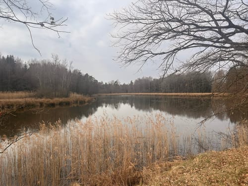 Naturlehrpfad Dreba-Plothen Erweiterung