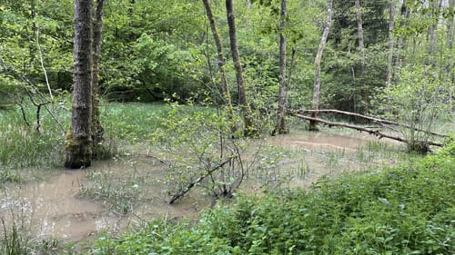 Herzog-Jäger-Pfad (Premiumwanderweg)