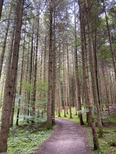 Rund um den Hartsee