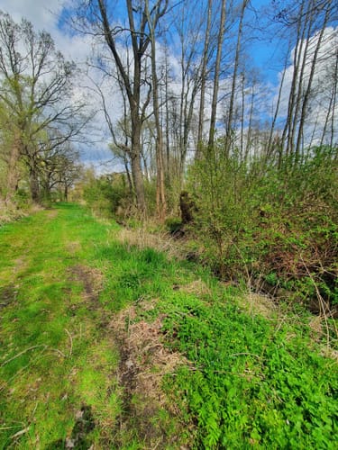 Heide-Teichlandschaft