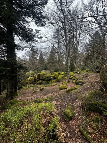 Hotzenpfad (Premiumwanderweg)