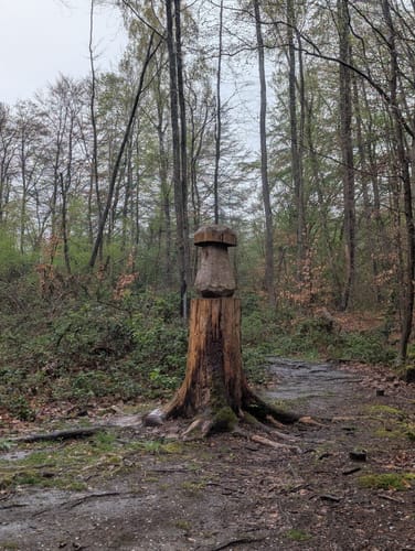 Mühlenbach-Schluchten-Tour (Traumschleife)