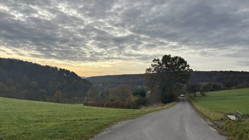 Bebenhausen - Goldersbachtal - Wildgehege